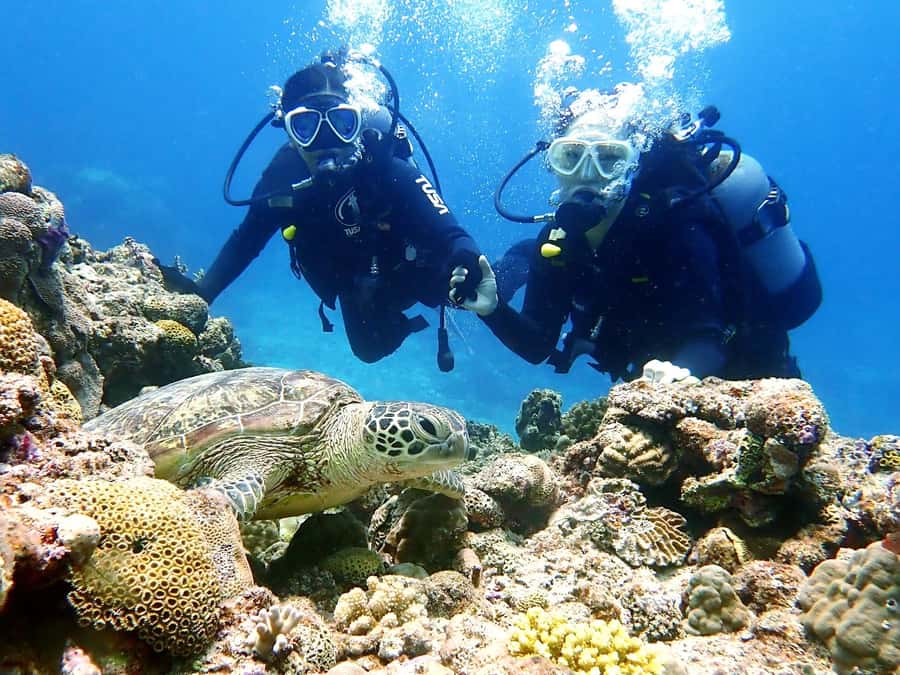 Okinawa:Naha:Kerama Island Experience 1Dive and Snorkeling - What Happens at the First Water Session
