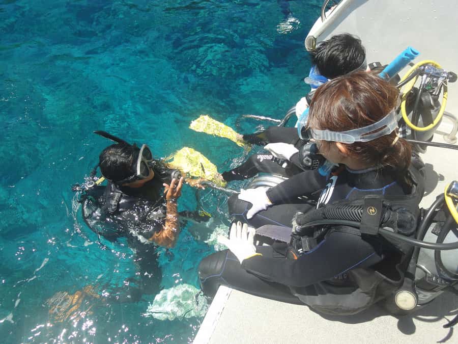 Okinawa:Naha:Kerama Island Experience 1Dive and Snorkeling - Snorkeling Across Three Kerama Sites