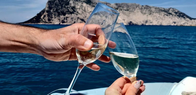 Olbia: Boat tour to watch Dolphins and snorkeling - Watching dolphins near the fish farm