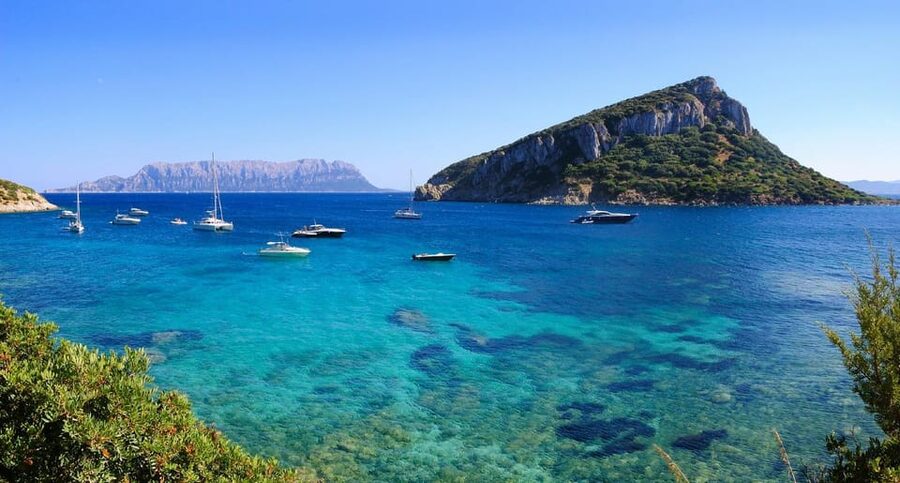 Olbia: Dolphin Watching and Snorkeling Boat Tour - Watching dolphins without chasing them