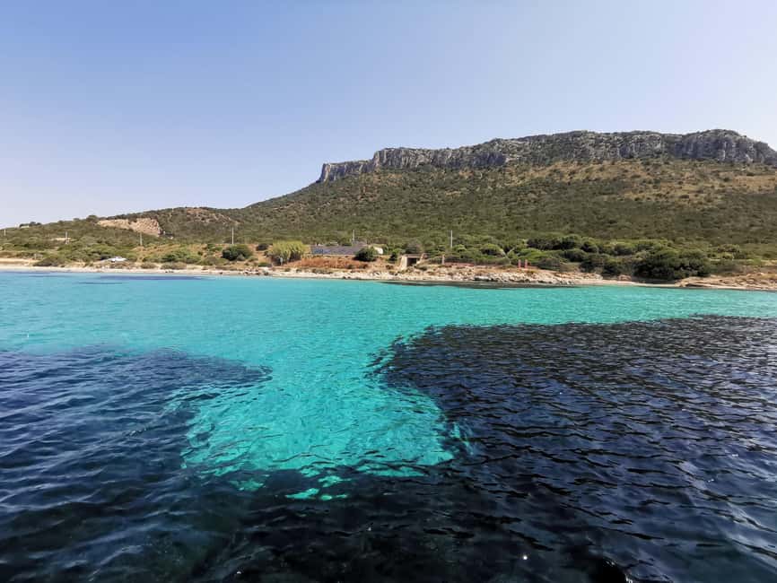 Olbia: Dolphin watching and snorkeling tour on Figarolo Island - Dolphin watching near the fish farm