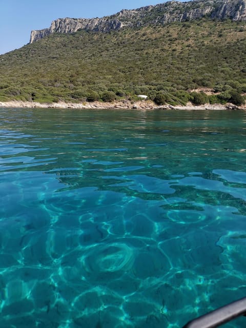 Olbia: Dolphin watching and snorkeling tour on Figarolo Island - Figarolo’s coves and clear water
