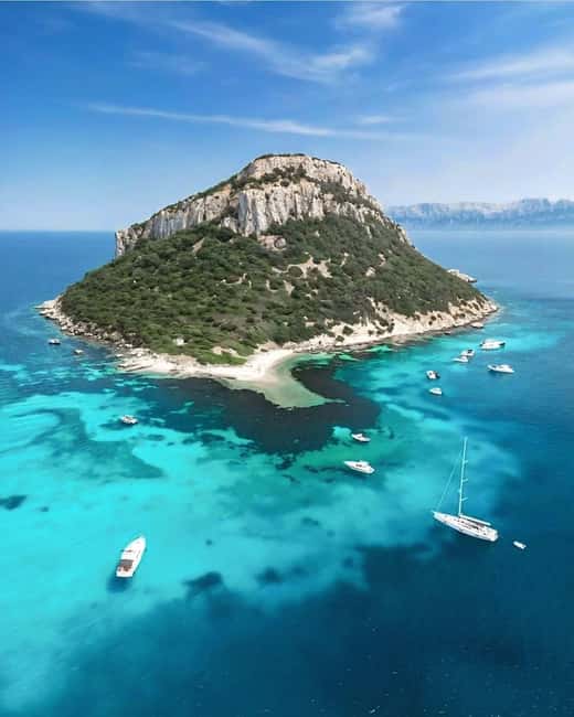 Olbia: Dolphin Watching & Snorkeling Boat Tour near Figarolo - Cala Moresca: swimming, snacks, and a slower hour