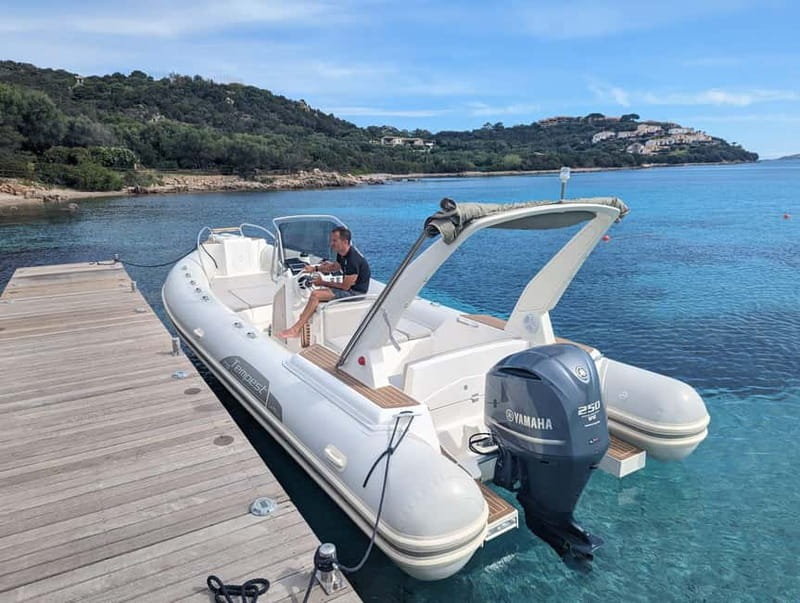 Olbia: Dolphin Watching & Snorkeling Boat Trip - Is $53 a fair price?