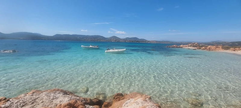 Olbia: Dolphin Watching & Swim and snorkel in Capo Figari - Swimming and snorkeling at Capo Figari