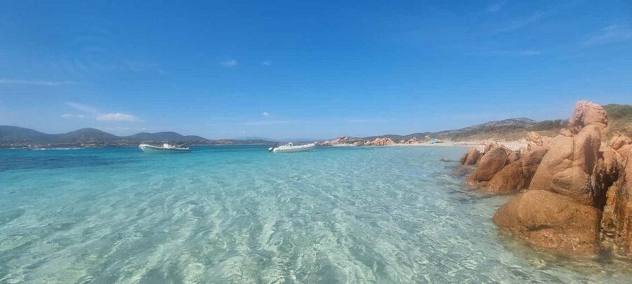 Olbia: Dolphin Watching & Swim and snorkel in Capo Figari - Is $79.30 a fair price?