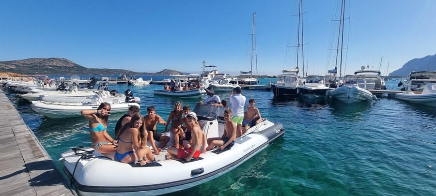 Olbia: Dolphin Watching & Swim and snorkel in Capo Figari - Booking details worth knowing