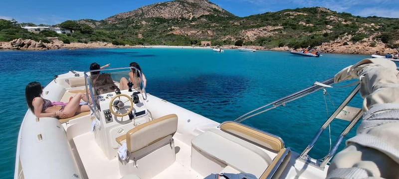 Olbia: Dolphin Watching & Swim and snorkel in Capo Figari - A respectful dolphin-watching stop