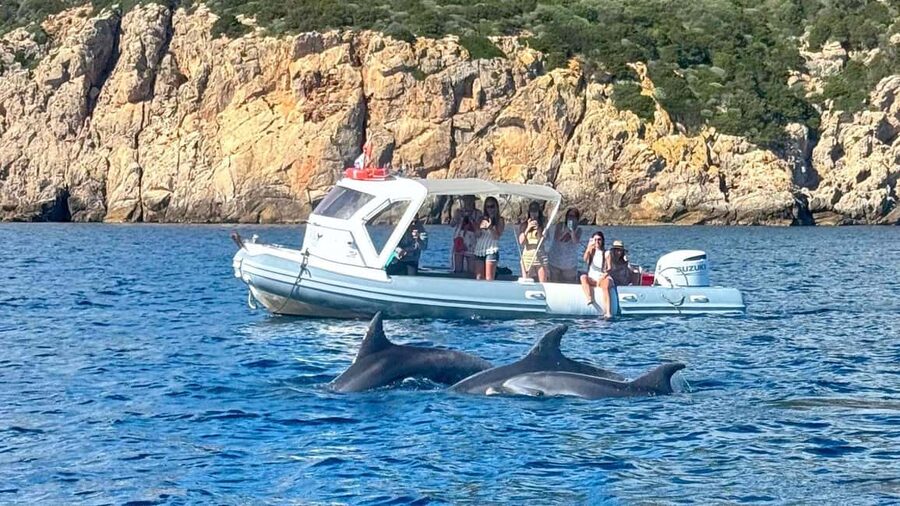 Olbia: Dolphin Watching Tour with Figarolo Island Snorkeling - Swimming beneath Capo Figari