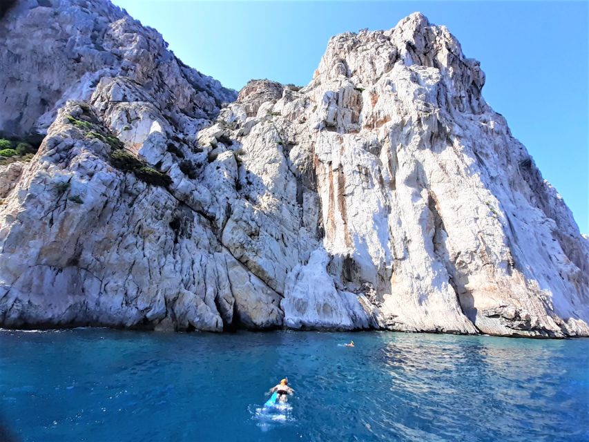 Olbia: Dolphin Watching Tour with Figarolo Island Snorkeling - What the $74.20 price includes