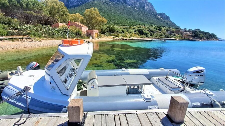 Olbia: Dolphin Watching Tour with Figarolo Island Snorkeling - Practical tips for a better morning on the water