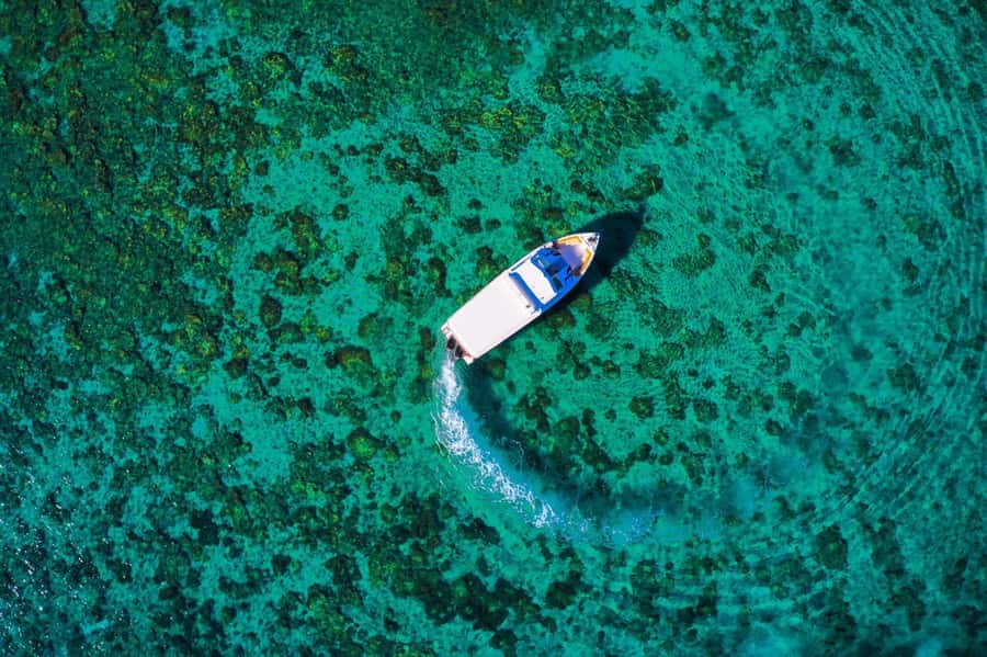 Oman: Snorkeling Trip at Daymaniyat Islands - What you will see below the surface