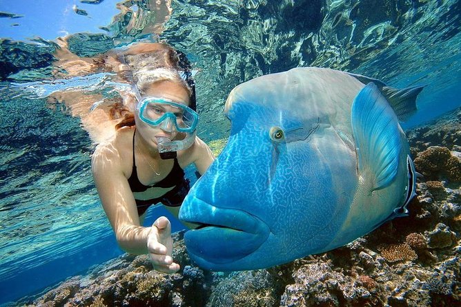 Orange Bay Island Snorkeling Trip With Water Sports - Hurghada - Banana boat and tow tube rides