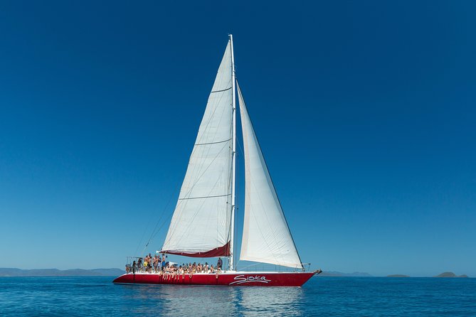 Outer Great Barrier Reef Snorkel Adventure in Airlie Beach - Why the reef time matters more than the boat time