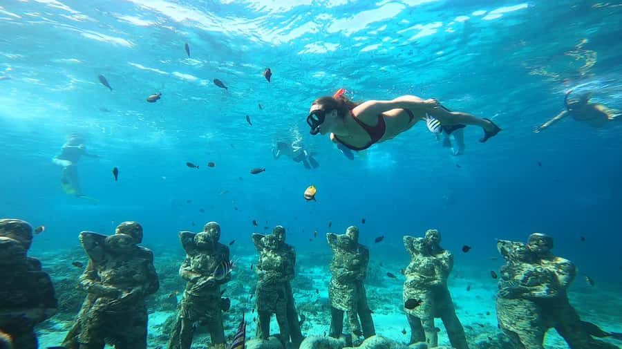 Ozzy Snorkeling 3 Islands Visit Baby Turtles - What this Gili Islands trip is really like