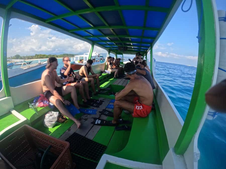 Ozzy Snorkeling 3 Islands Visit Baby Turtles - The boat ride and the glass-bottom claim