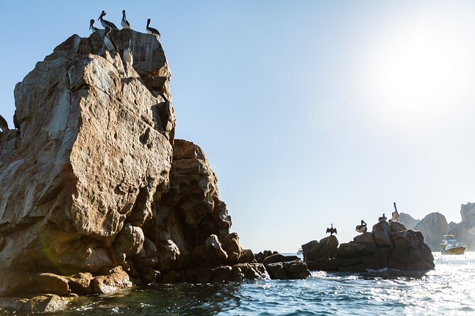 Paddleboard Expedition to the Arch of Cabo San Lucas, Lovers Beach & Snorkel - What is included in the $90 price