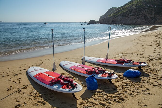 Paddleboard Expedition to the Arch of Cabo San Lucas, Lovers Beach & Snorkel - Pickup, meeting point, and timing details