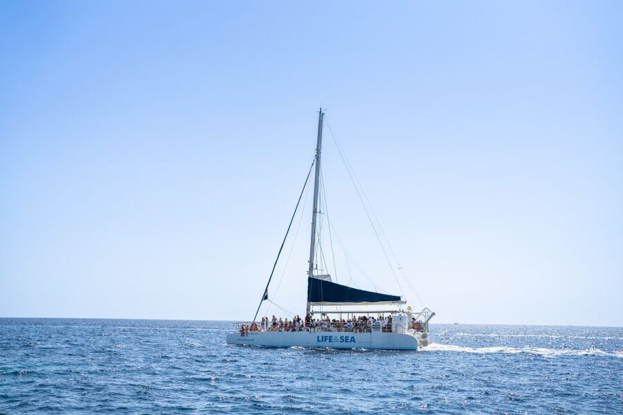 Palma: Catamaran Cruise with Swimming and Snorkelling - Key points to know before booking
