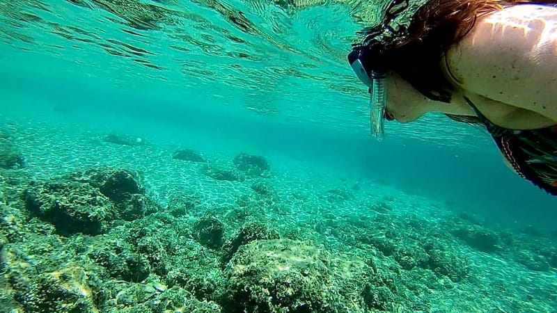 Palma de Mallorca: Private Boat Tour with Snorkel and Paddle - A good choice for families and mixed groups