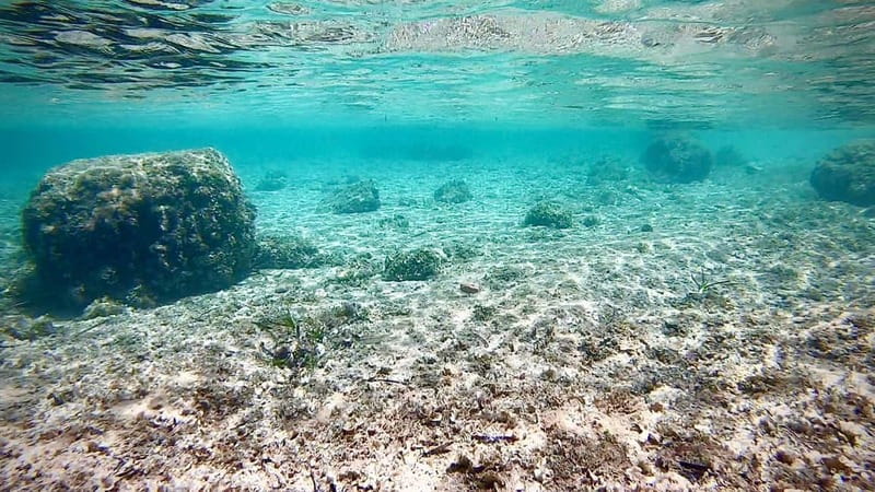 Palma de Mallorca: Private Boat Tour with Snorkel and Paddle - Should you book this Palma boat tour?