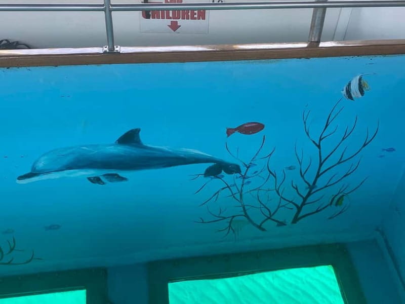 Paphos: Glass Bottom Boat Trip with Swimming or Snorkeling - Is $20 good value?