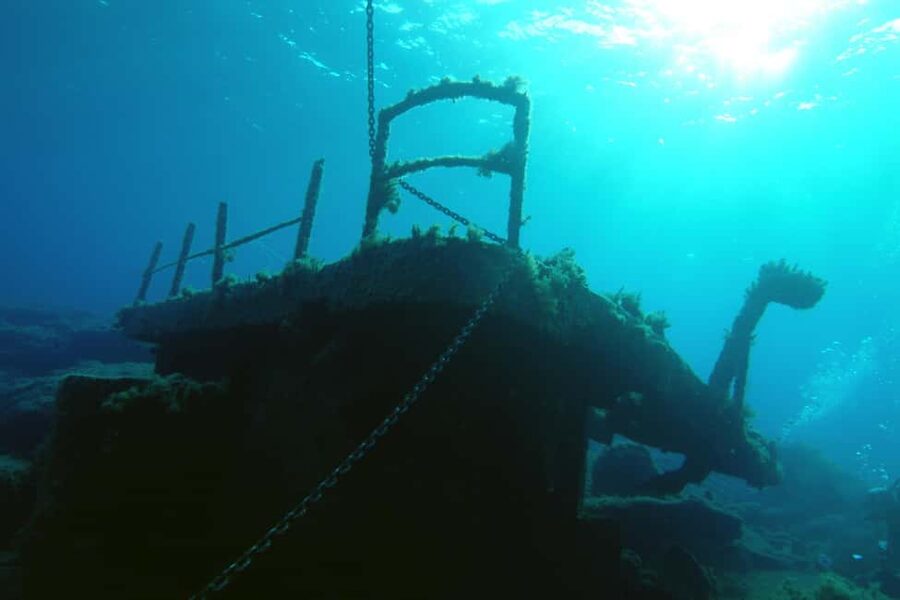 Paphos: The Yellow Glass-Bottom Boat Cruise Swim & Snorkel - Looking Through the Glass at the 1974 Wreck