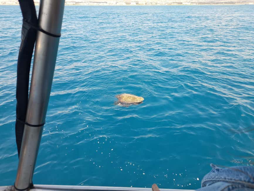 Paphos: The Yellow Glass-Bottom Boat Cruise Swim & Snorkel - The Crew Makes a Real Difference