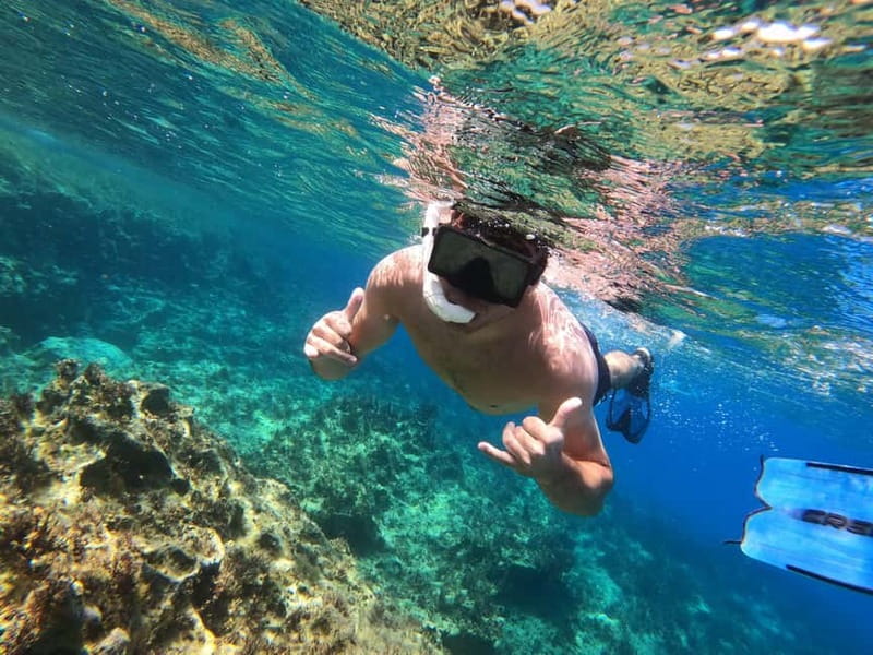 Paphos: Turtle-Watching Snorkeling Sea Scooter Trip - Swimming with turtles near Paphos