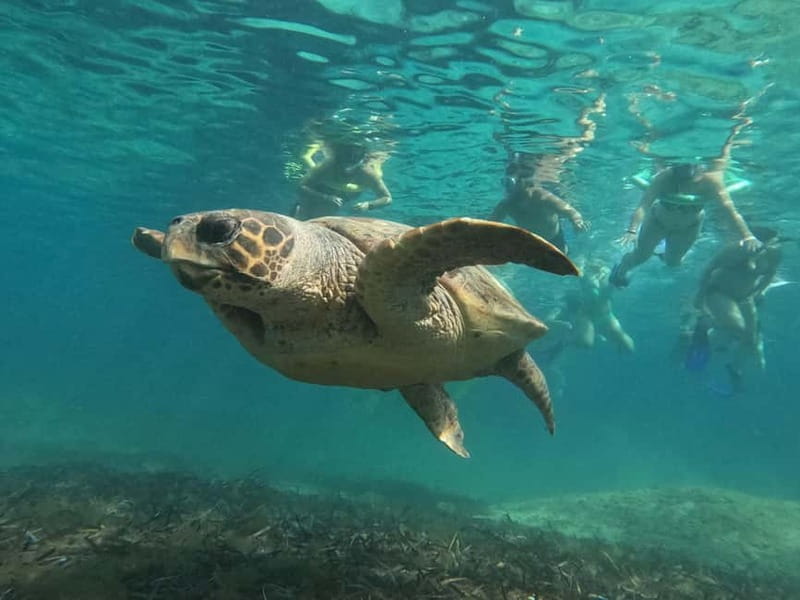 Paphos: Turtle-Watching Snorkeling Sea Scooter Trip - How safe and supportive is the water time?