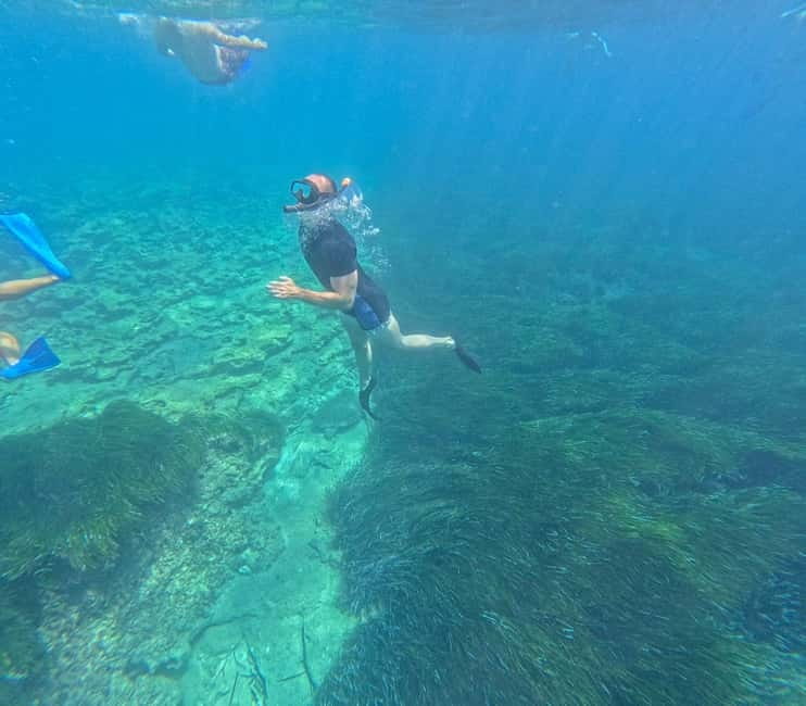 Paphos: Turtle-Watching Snorkeling Sea Scooter Trip - Respecting turtles in their natural habitat