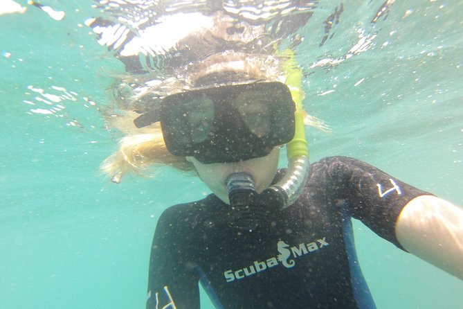 Pelican Rock Snorkeling and Sightseeing Adventure - Cabo’s rock formations from the water