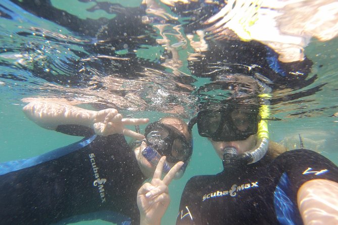 Pelican Rock Snorkeling and Sightseeing Adventure - Who will get the most from this outing
