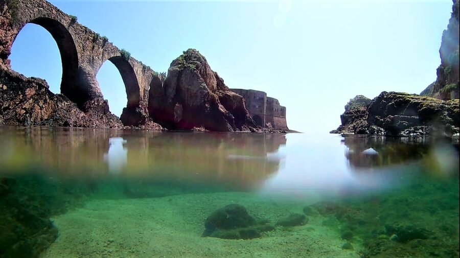 Peniche: Berlengas Island Catamaran Tour + Snorkeling - Who will enjoy this half-day trip most?