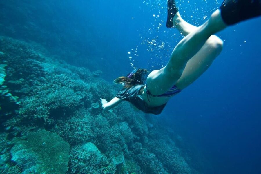 Peniche: Berlengas Island Caves Tour and Snorkeling - Meeting in Peniche and Boarding the Catamaran