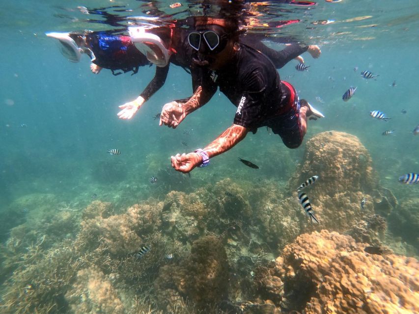 Phi Phi: Half-Day Phi Phi Snorkeling Trip by Longtail Boat - Pi Leh Lagoon, surrounded by limestone