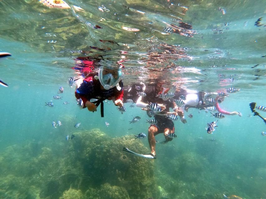 Phi Phi: Half-Day Phi Phi Snorkeling Trip by Longtail Boat - Loh Samah Bay and the short snorkeling stop