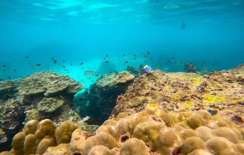Phi Phi: Half-Day Tour with Maya Bay, Pileh Lagoon & Snorkel - Loh Samah Bay and changing sea conditions