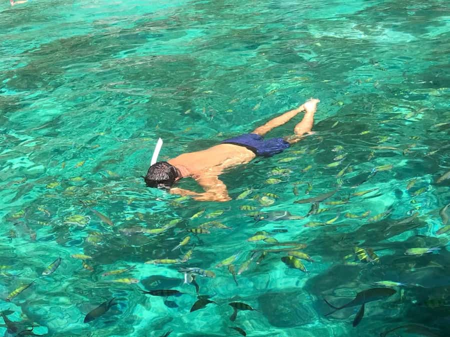 Phi Phi: Private Maya Bay Longtail Boat Tour with Snorkeling - What the $138 price really gets you