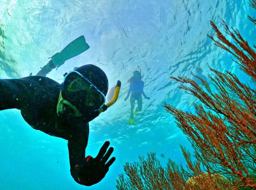 Phu Quoc Small-group Snorkeling to the Coral Jungle Reef - Key points at a glance