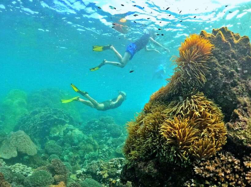 Phu Quoc Small-group Snorkeling to the Coral Jungle Reef - Timing, weather, and the dry-season window