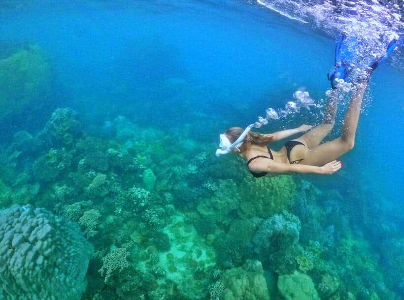 Phu Quoc Small-group Snorkeling to the Coral Jungle Reef - Why this reef trip feels different from a standard boat tour