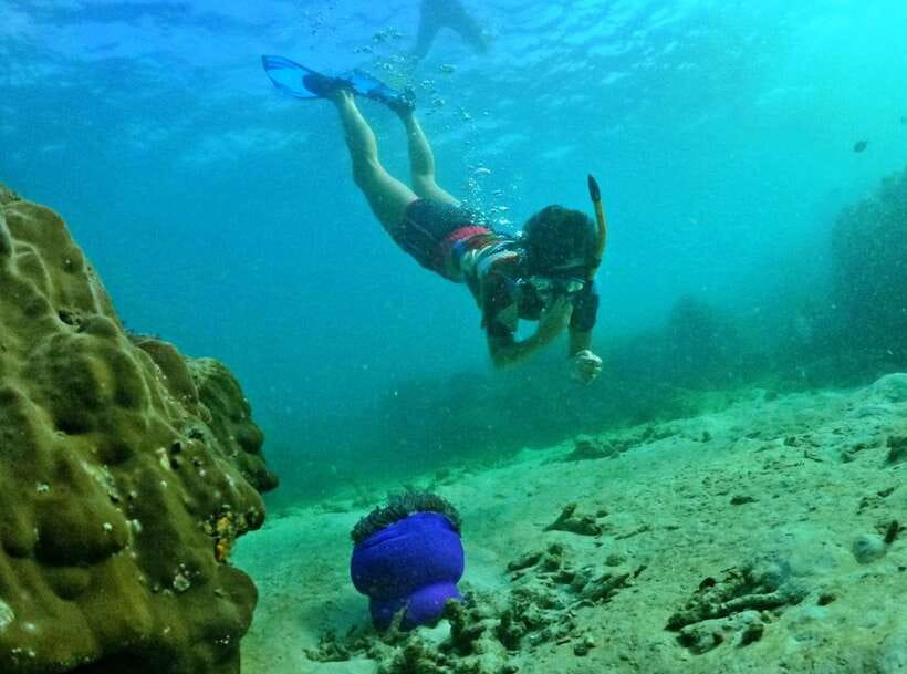 Phu Quoc Small-group Snorkeling to the Coral Jungle Reef - Two snorkeling sessions at Coral Jungle Reef
