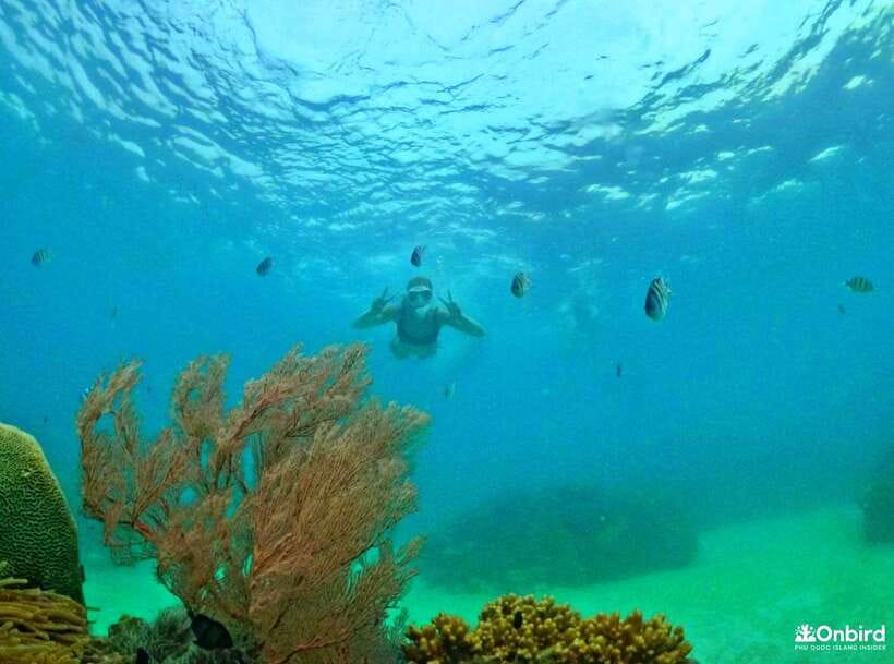 Phu Quoc Small-group Snorkeling to the Coral Jungle Reef - Who should book this outing
