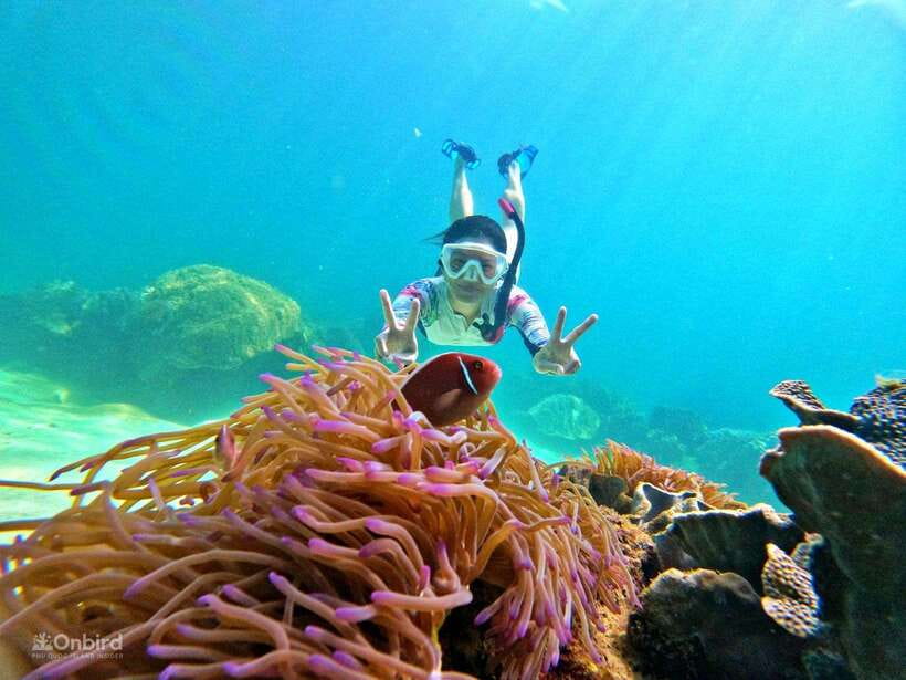 Phu Quoc: Speed Boat Tour 4 Islands - 2 Reefs Snorkeling - Key points at a glance