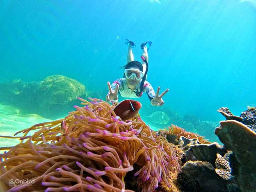 Phu Quoc: Speed Boat Tour 4 Islands - 2 Reefs Snorkeling - Reef one: fish, coral, and better confidence