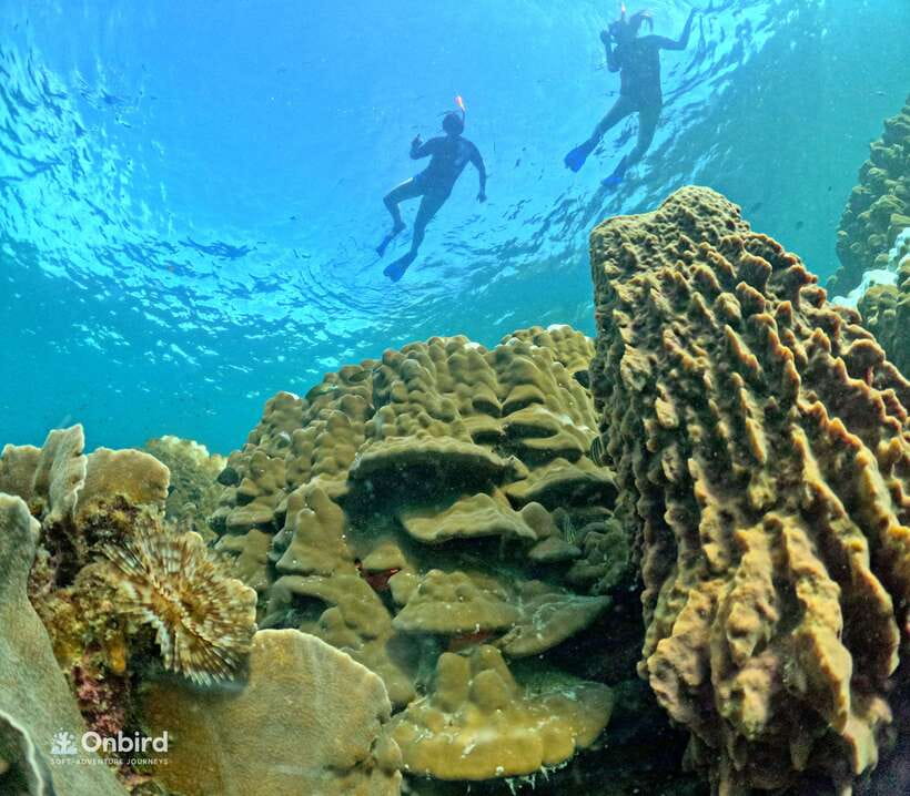 Phu Quoc: Speed Boat Tour 4 Islands - 2 Reefs Snorkeling - Reef two: coral variety and more time in the water