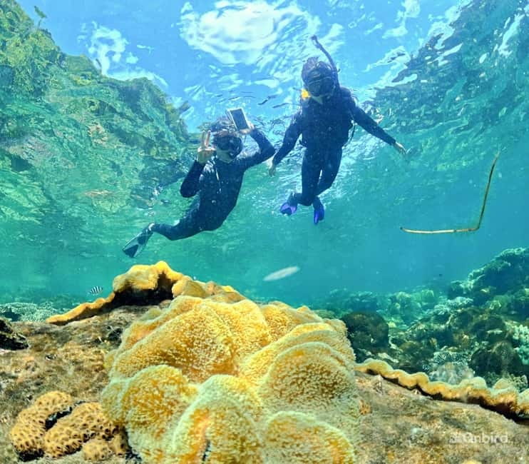 Phu Quoc Speedboat Pro Snorkeling: 4 Islands-2 Reefs & Meal - A small-group route built around the sea