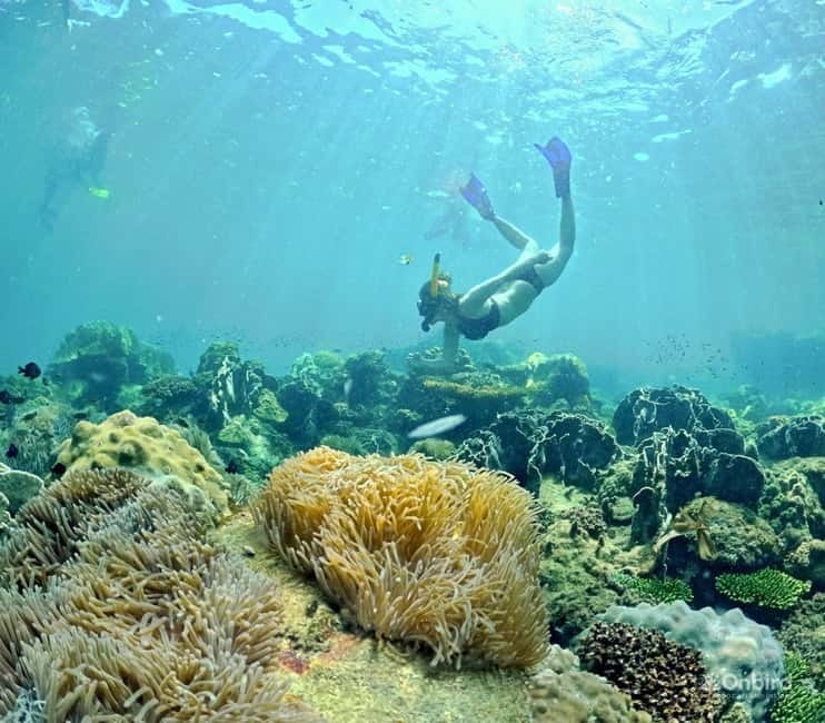 Phu Quoc Speedboat Pro Snorkeling: 4 Islands-2 Reefs & Meal - Stop one: getting comfortable before the reefs
