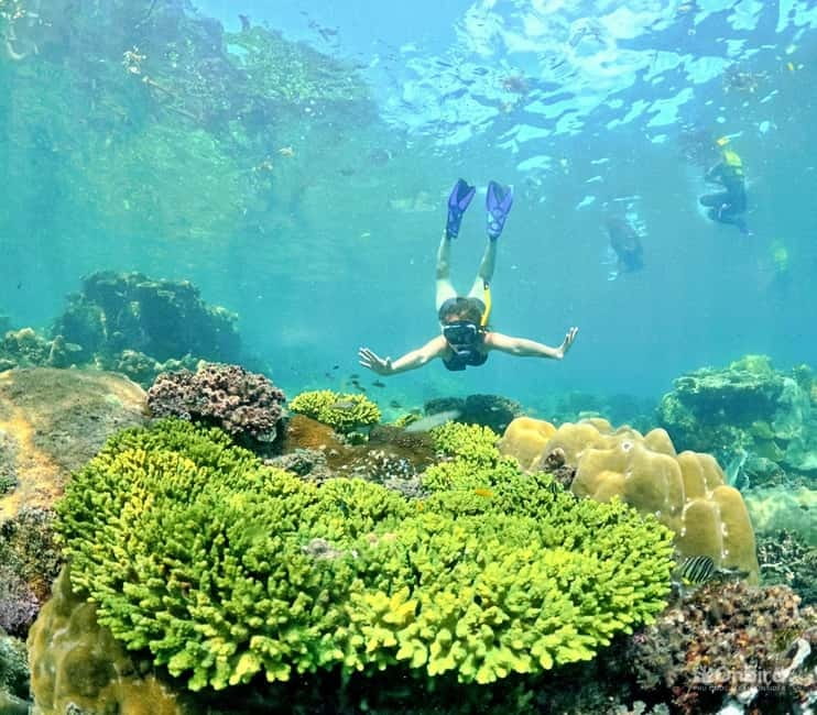 Phu Quoc Speedboat Pro Snorkeling: 4 Islands-2 Reefs & Meal - What $61 buys you